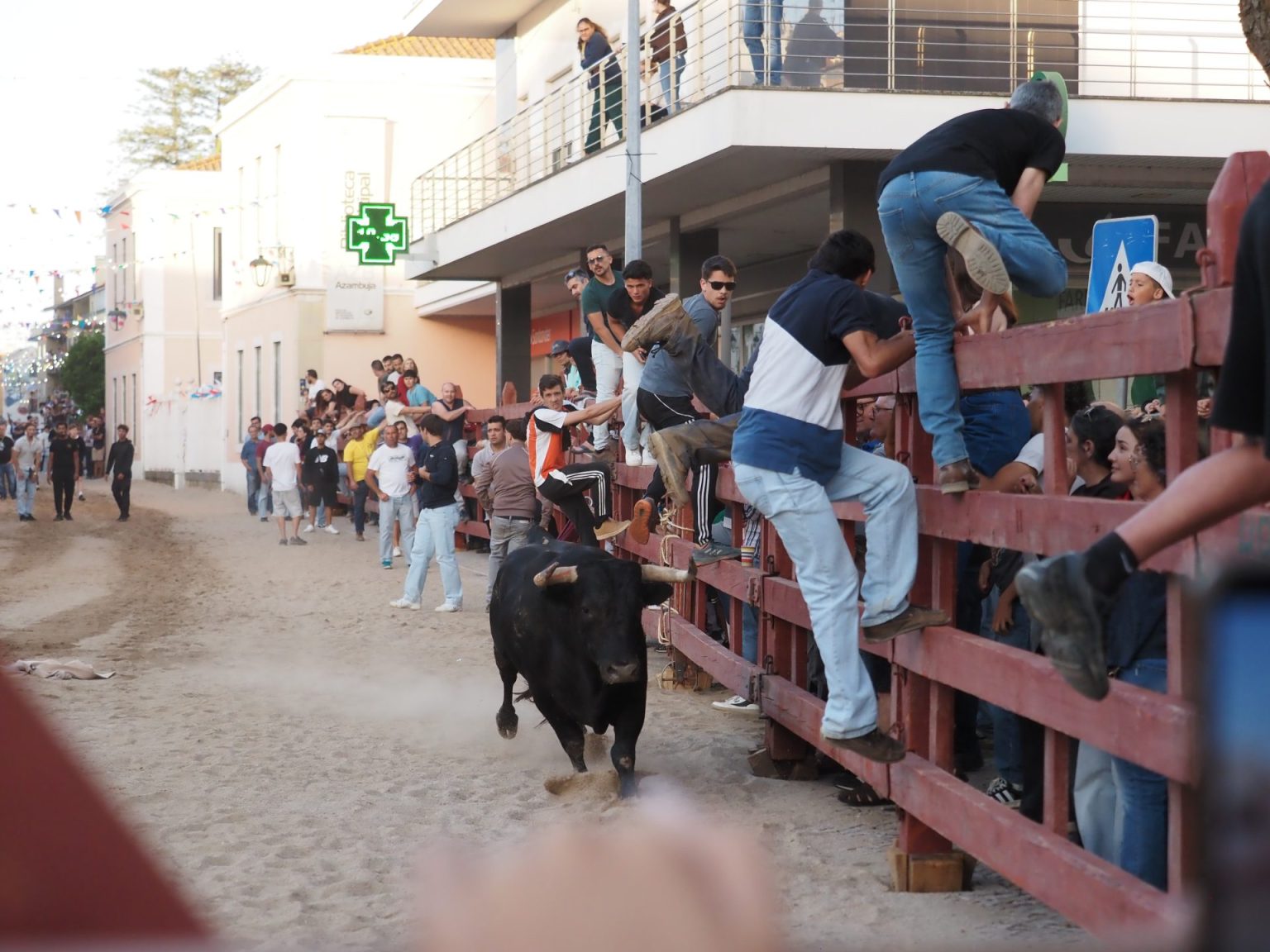 Largadas de Toiros animam Feira de Maio em Azambuja